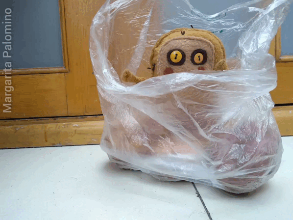InShot_20231113_152844377.gif