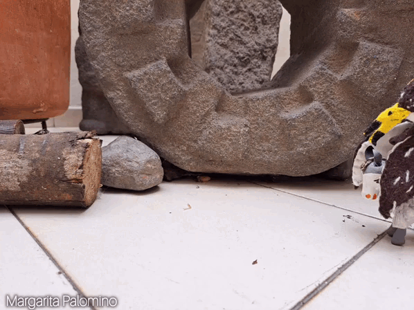 1000029867.gif