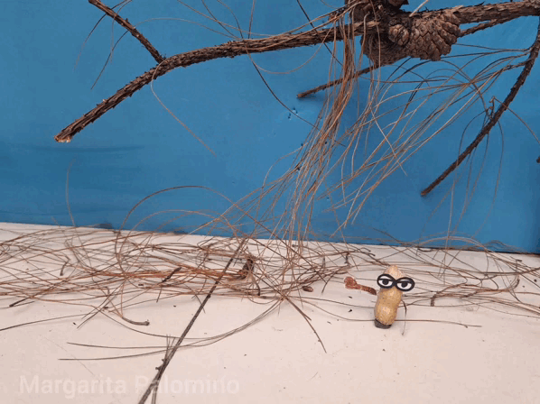 InShot_20230530_212115977.gif
