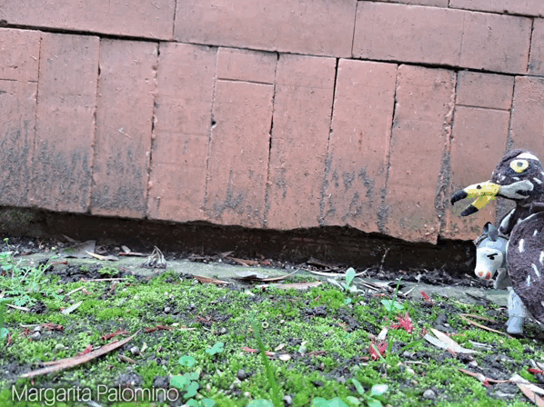 1000029866.gif