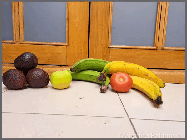 InShot_20230705_122220273.gif