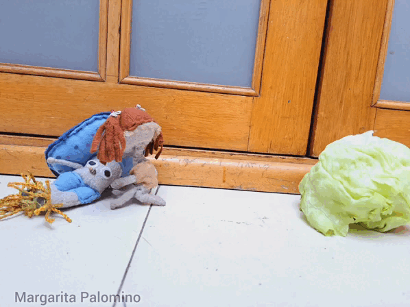 1000017172.gif