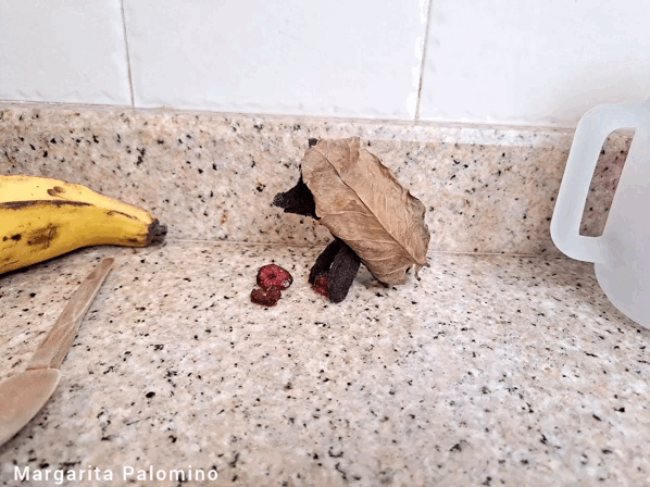 1000022834.gif