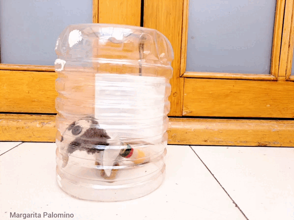1000034995.gif