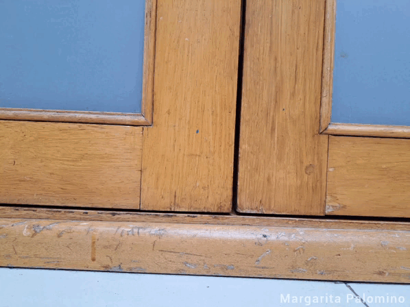 1000031071.gif