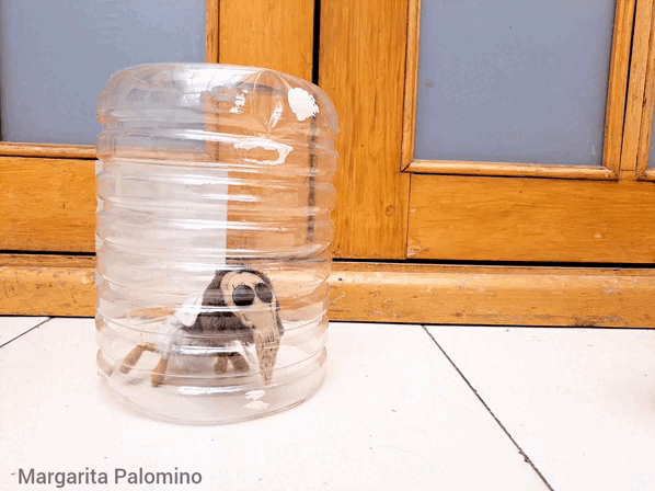 1000034997.gif