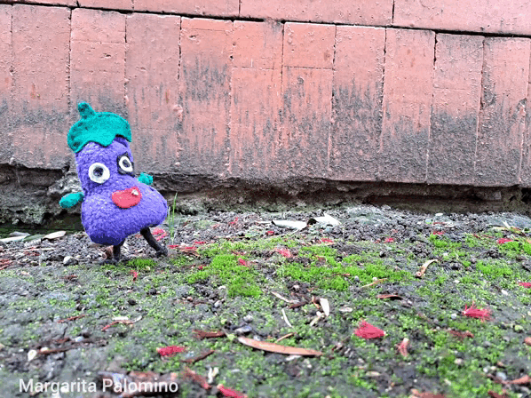 1000024095.gif