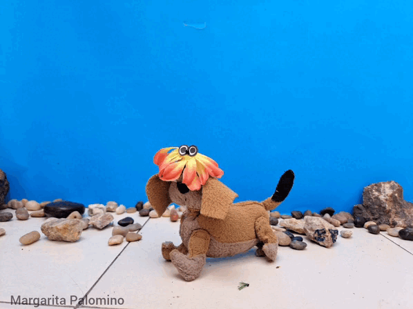 1000009681.gif