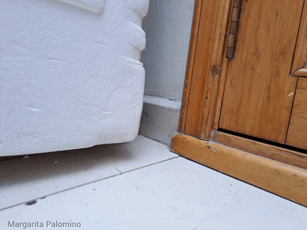 1000017168.gif