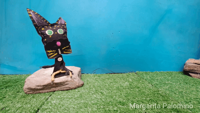 InShot_20221123_081024586.gif