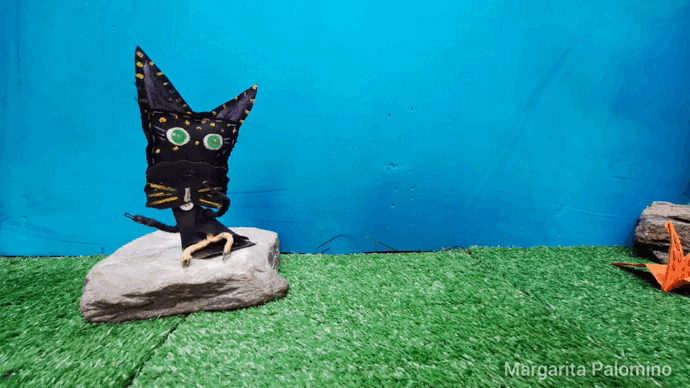 InShot_20221123_083611234.gif