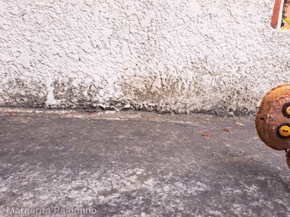 1000022469.gif