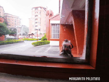 videotogif_2021.06.03_18.16.03.gif