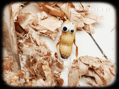 videotogif_2021.02.20_17.11.48.gif