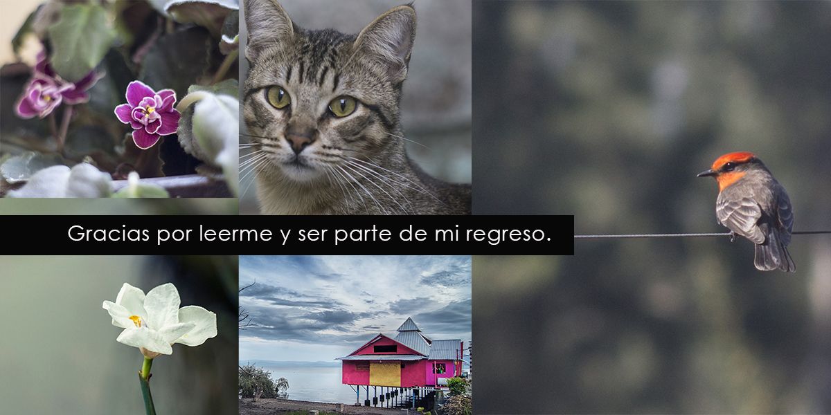 Transformación libre4.jpg