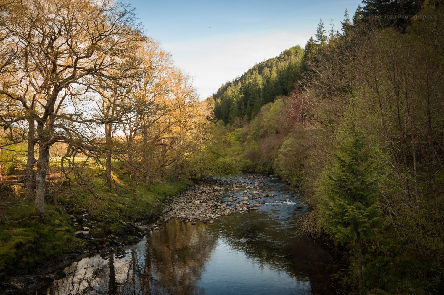 DSC_0654.JPG