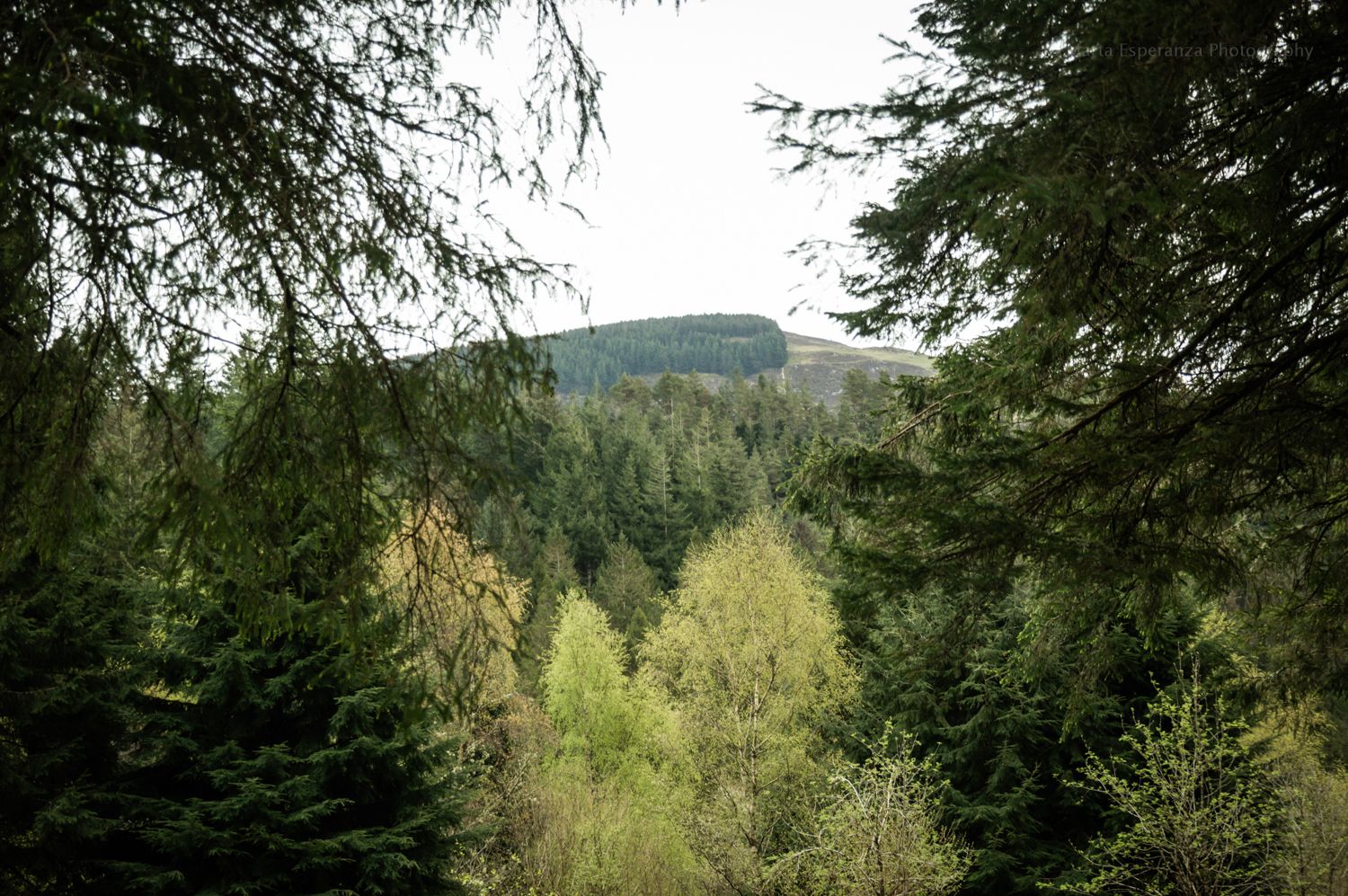 DSC_0262.JPG