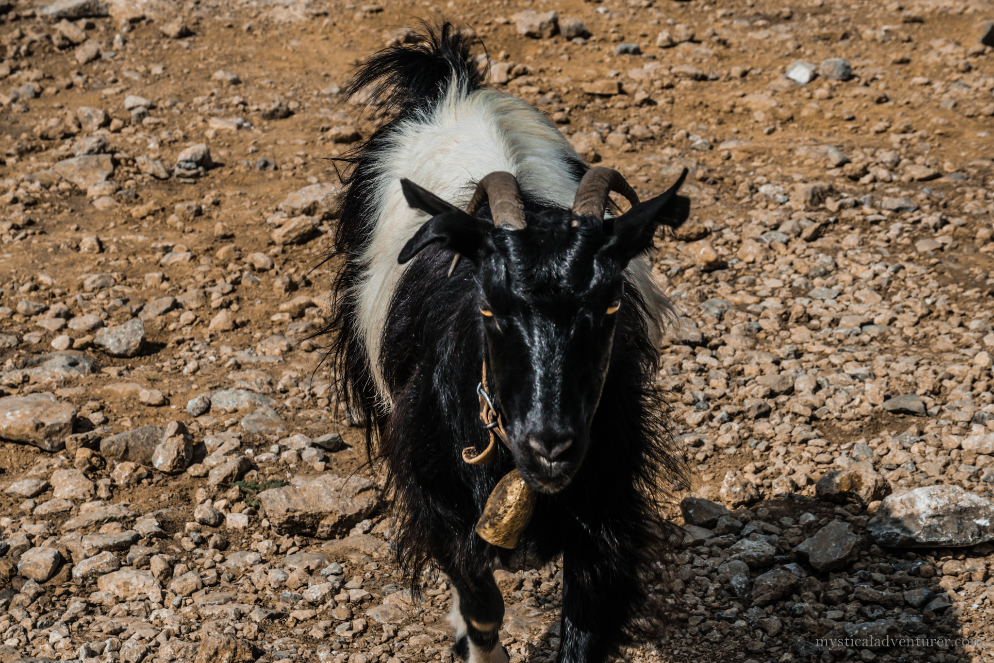 DSC_0077.jpg