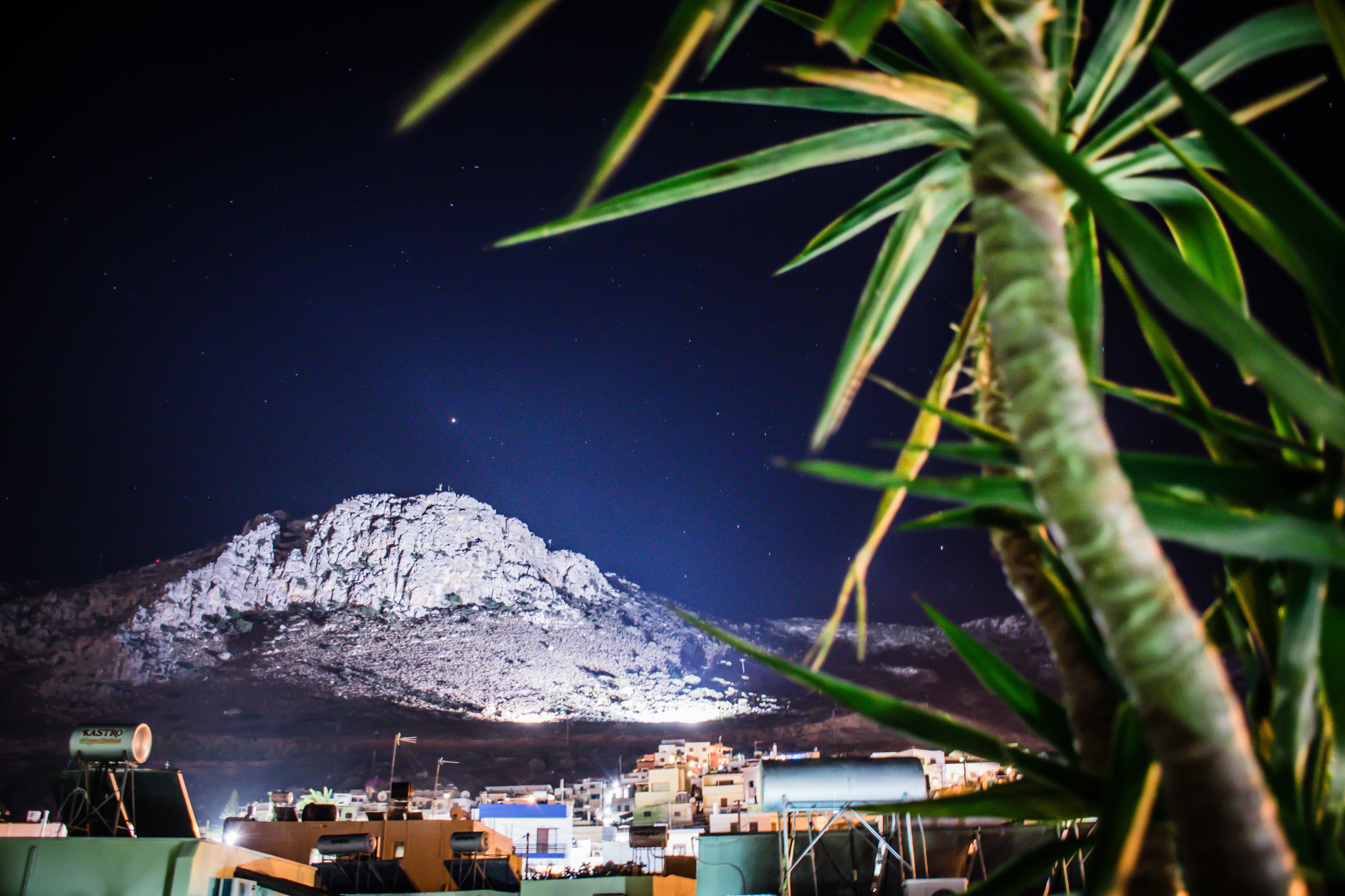 DSC_0352.jpg