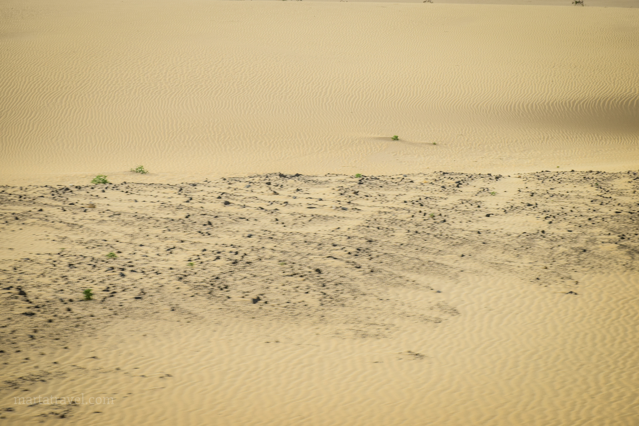 DSC_0864.jpg