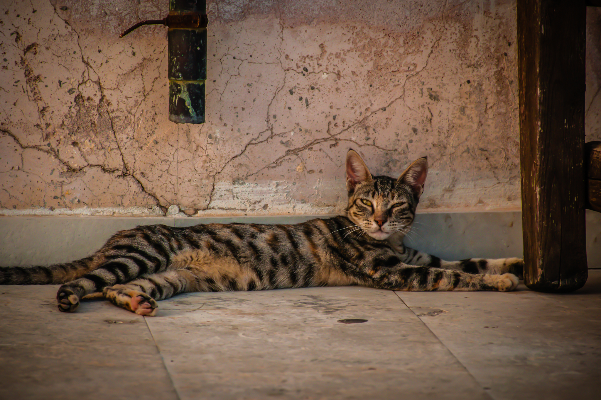DSC_0675.jpg