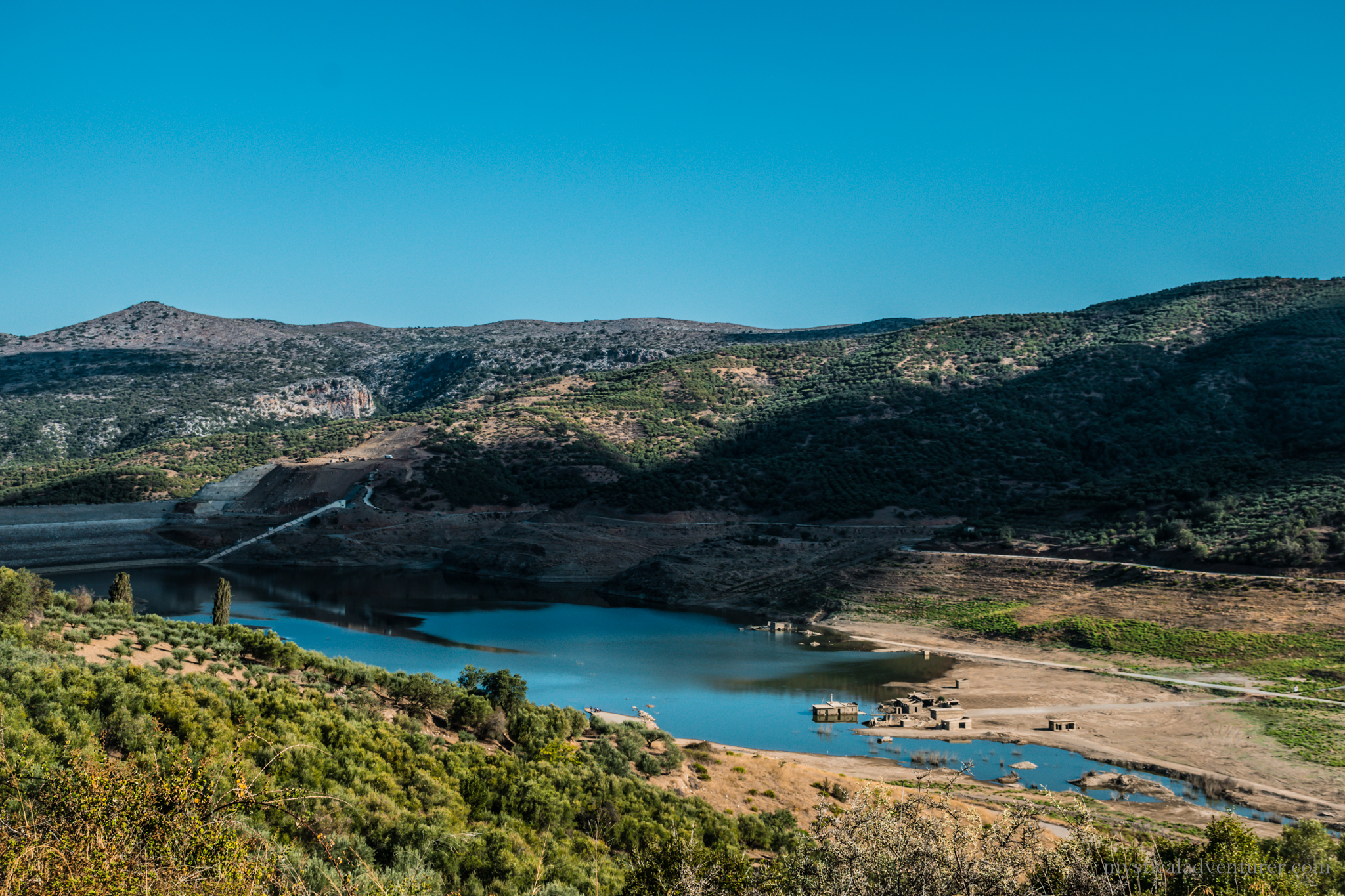 DSC_0822.jpg
