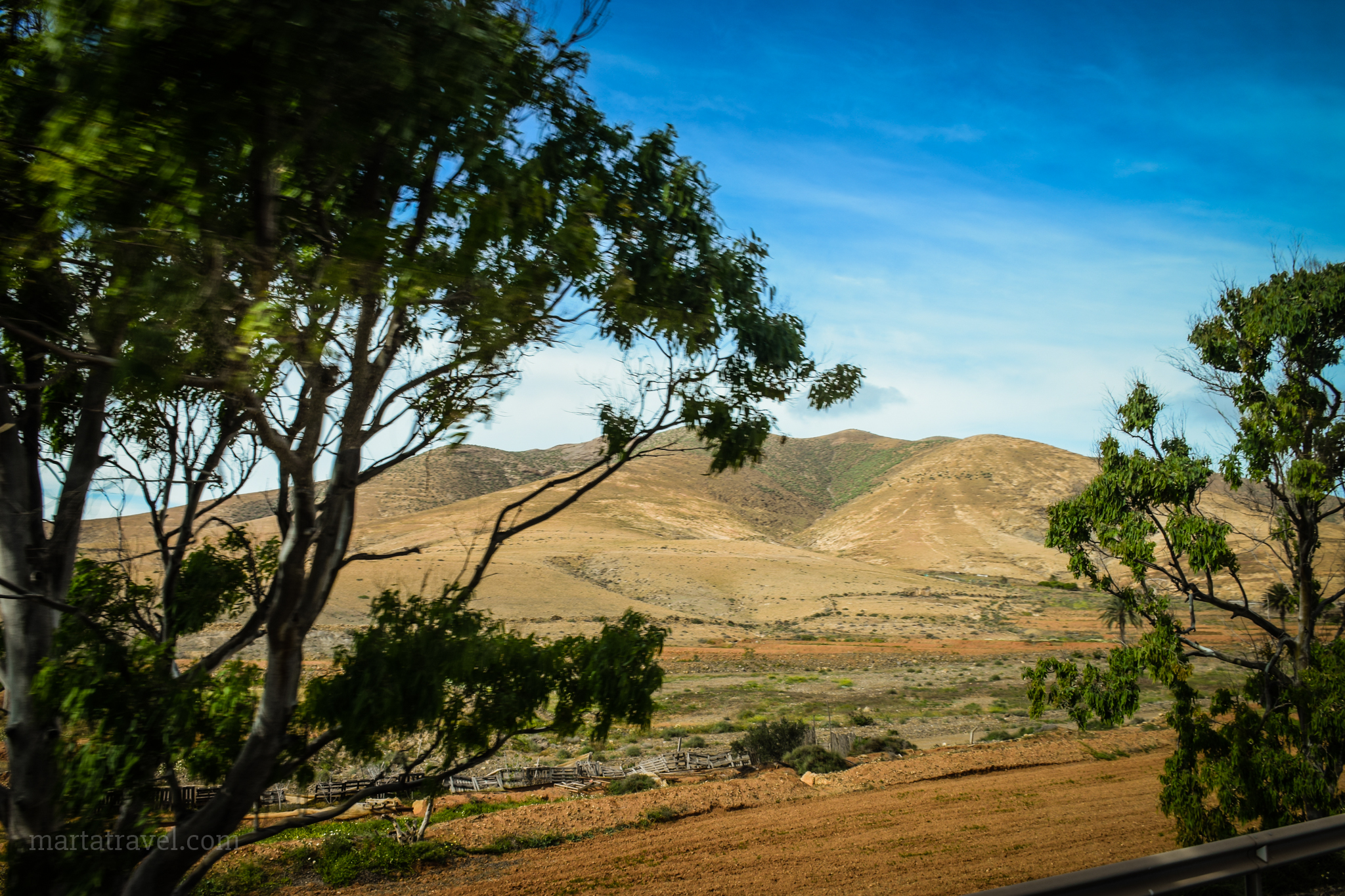 DSC_0794.jpg