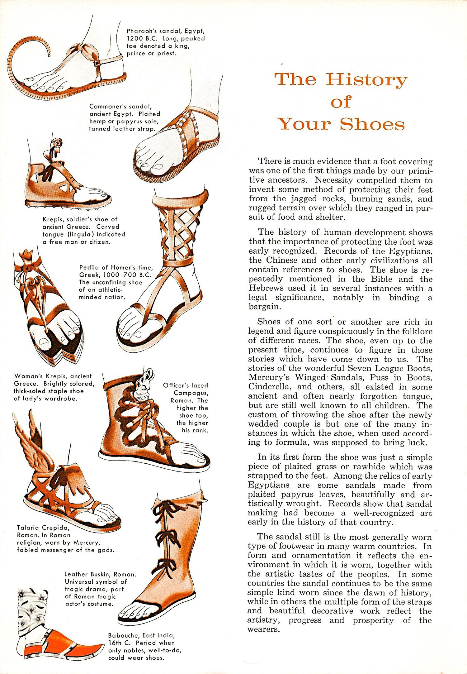 Shoes3.jpg