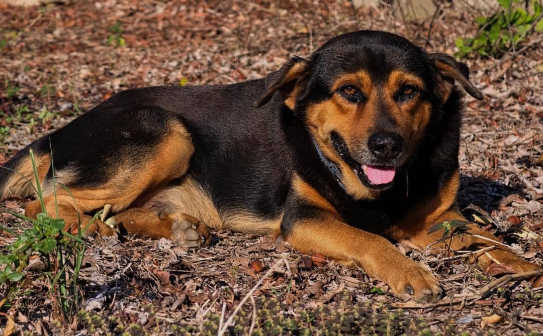 WhatsApp Image 2025-10-30 at 2.40.29 PM.jpeg