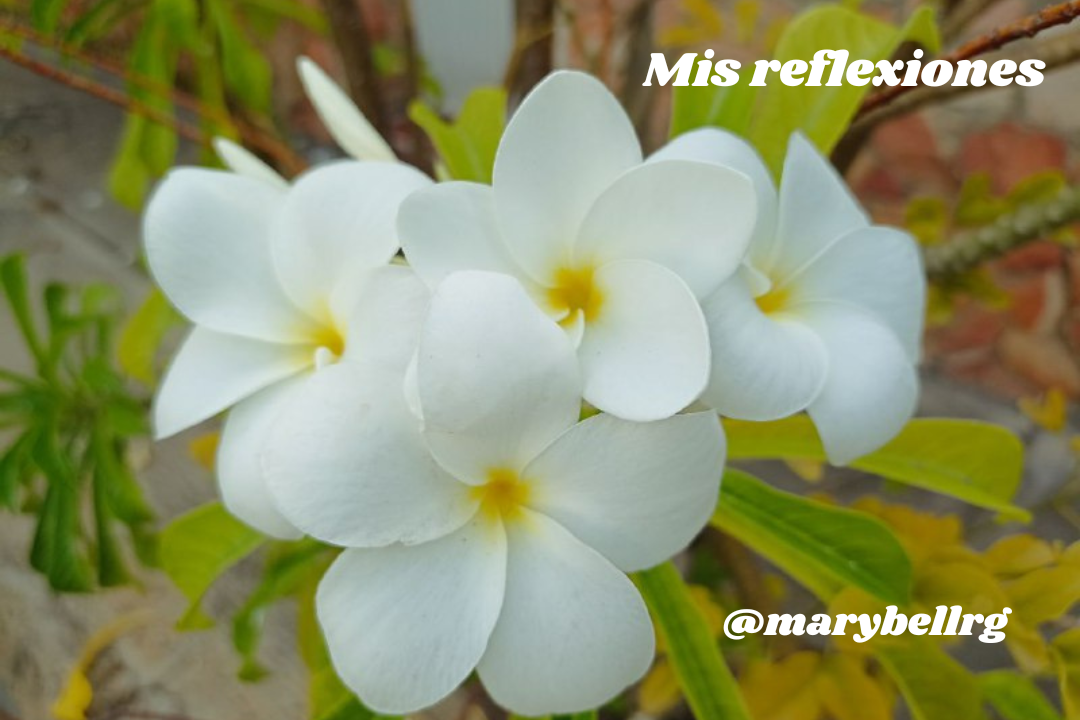 @marybellrg.png