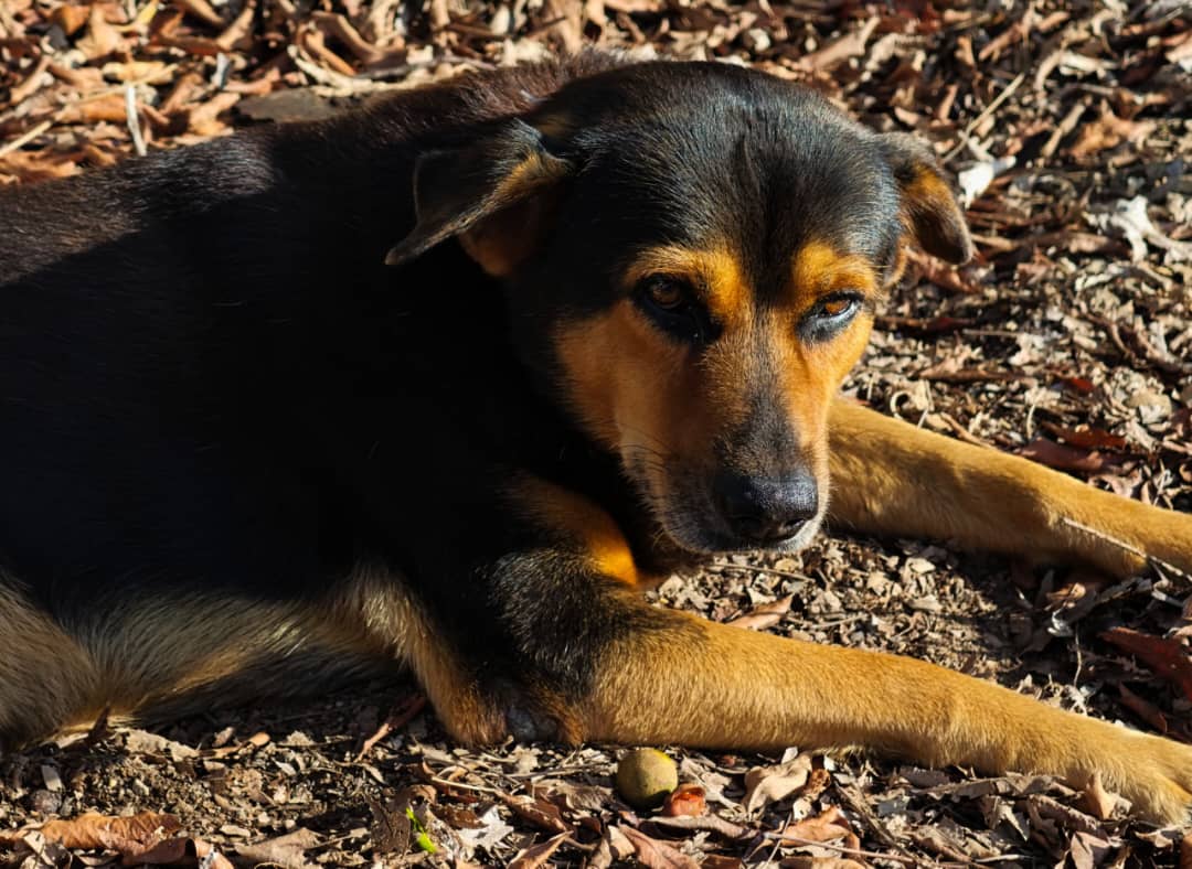 WhatsApp Image 2025-10-30 at 2.03.39 PM.jpeg