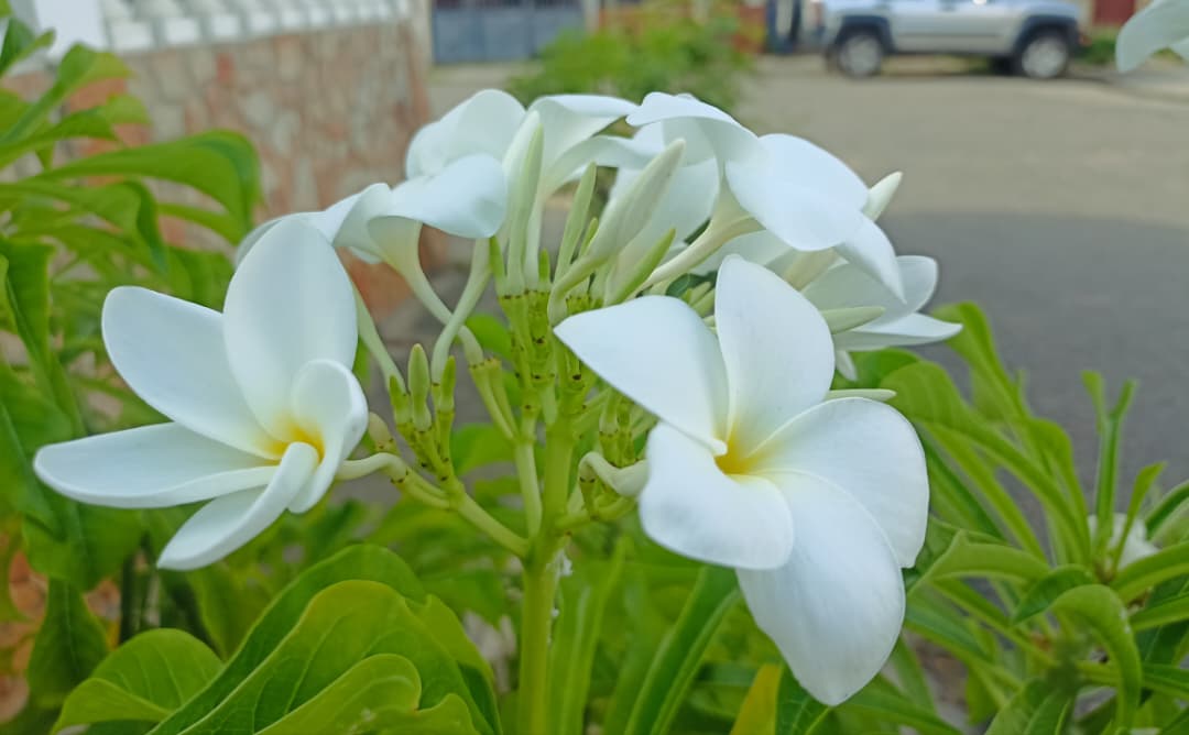 WhatsApp Image 2025-10-22 at 1.39.01 PM.jpeg