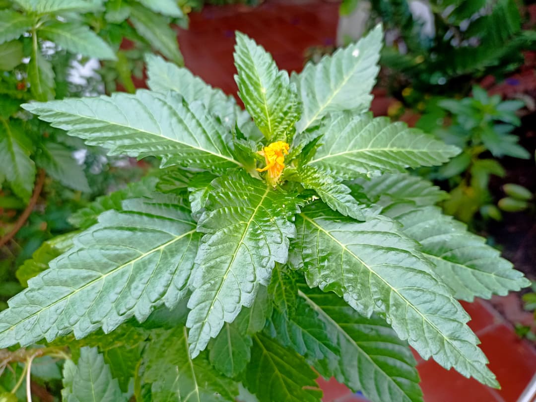 WhatsApp Image 2025-10-22 at 1.38.31 PM.jpeg