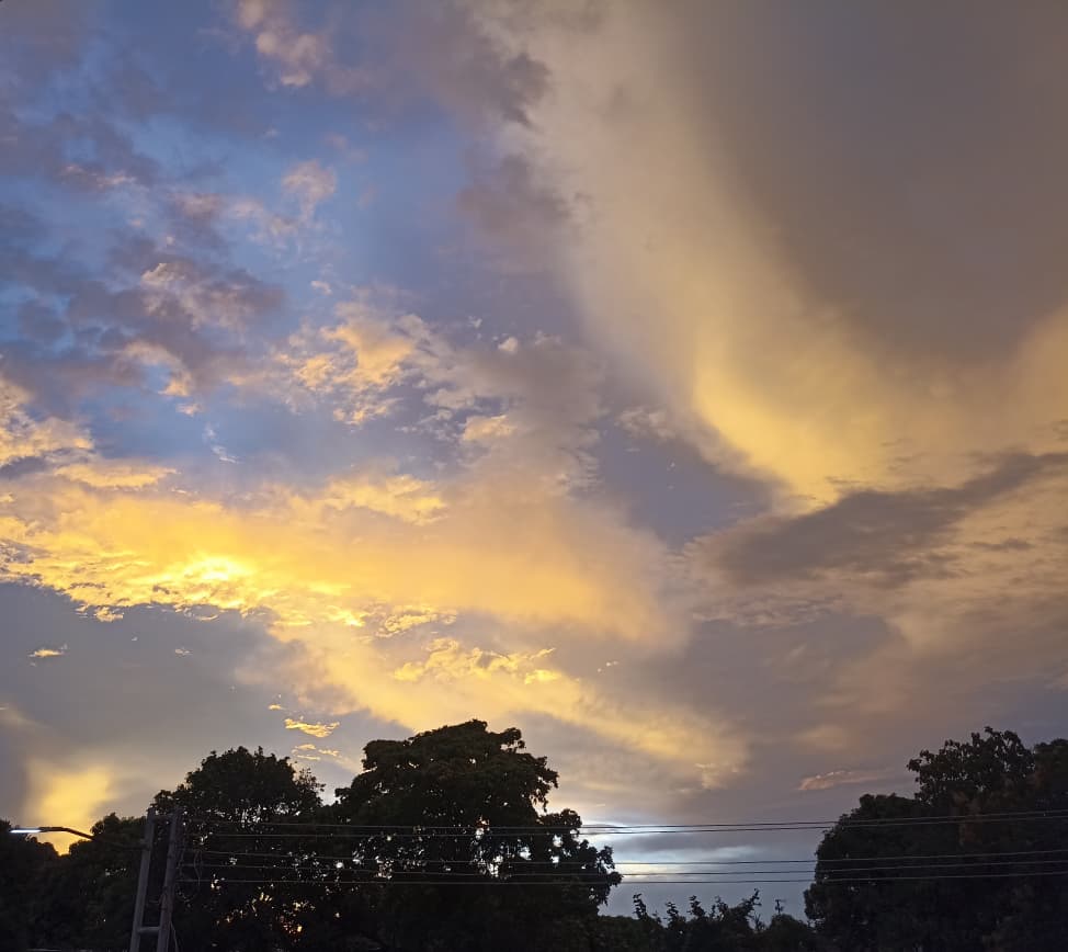 WhatsApp Image 2025-10-22 at 1.37.34 PM.jpeg