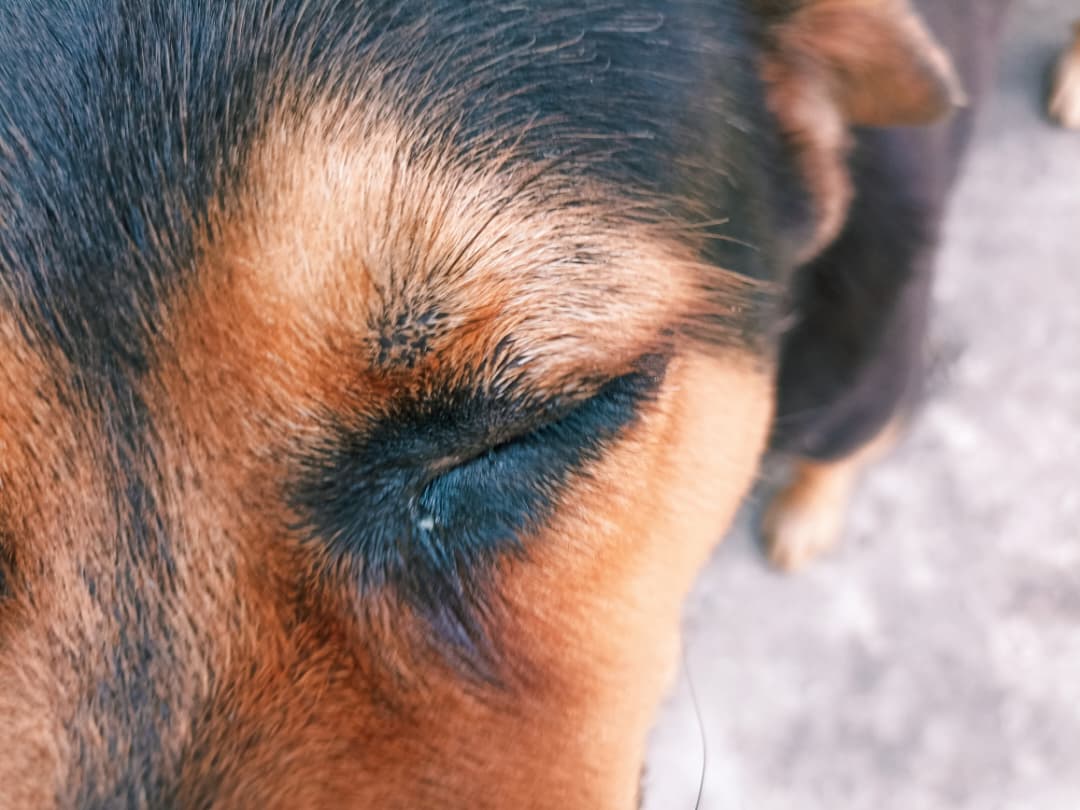 WhatsApp Image 2025-10-30 at 12.40.50 PM.jpeg