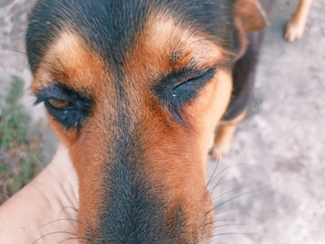 WhatsApp Image 2025-10-30 at 12.41.18 PM.jpeg