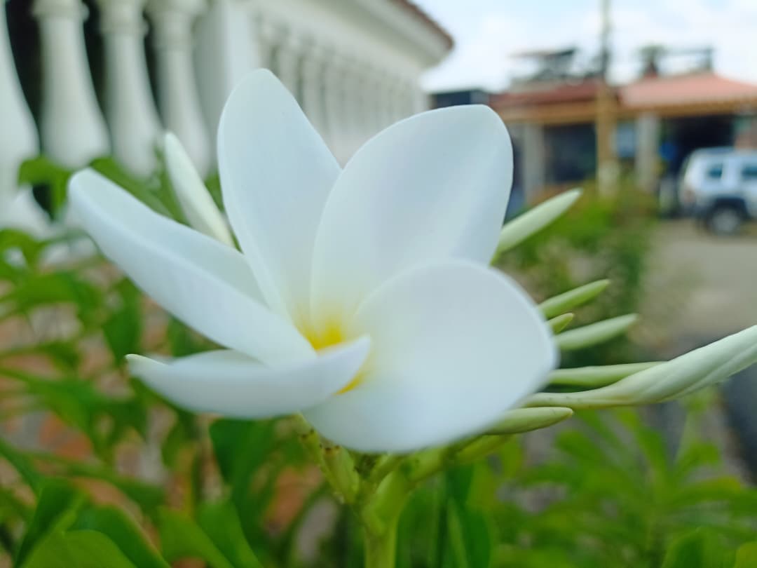 WhatsApp Image 2025-10-22 at 1.39.56 PM.jpeg