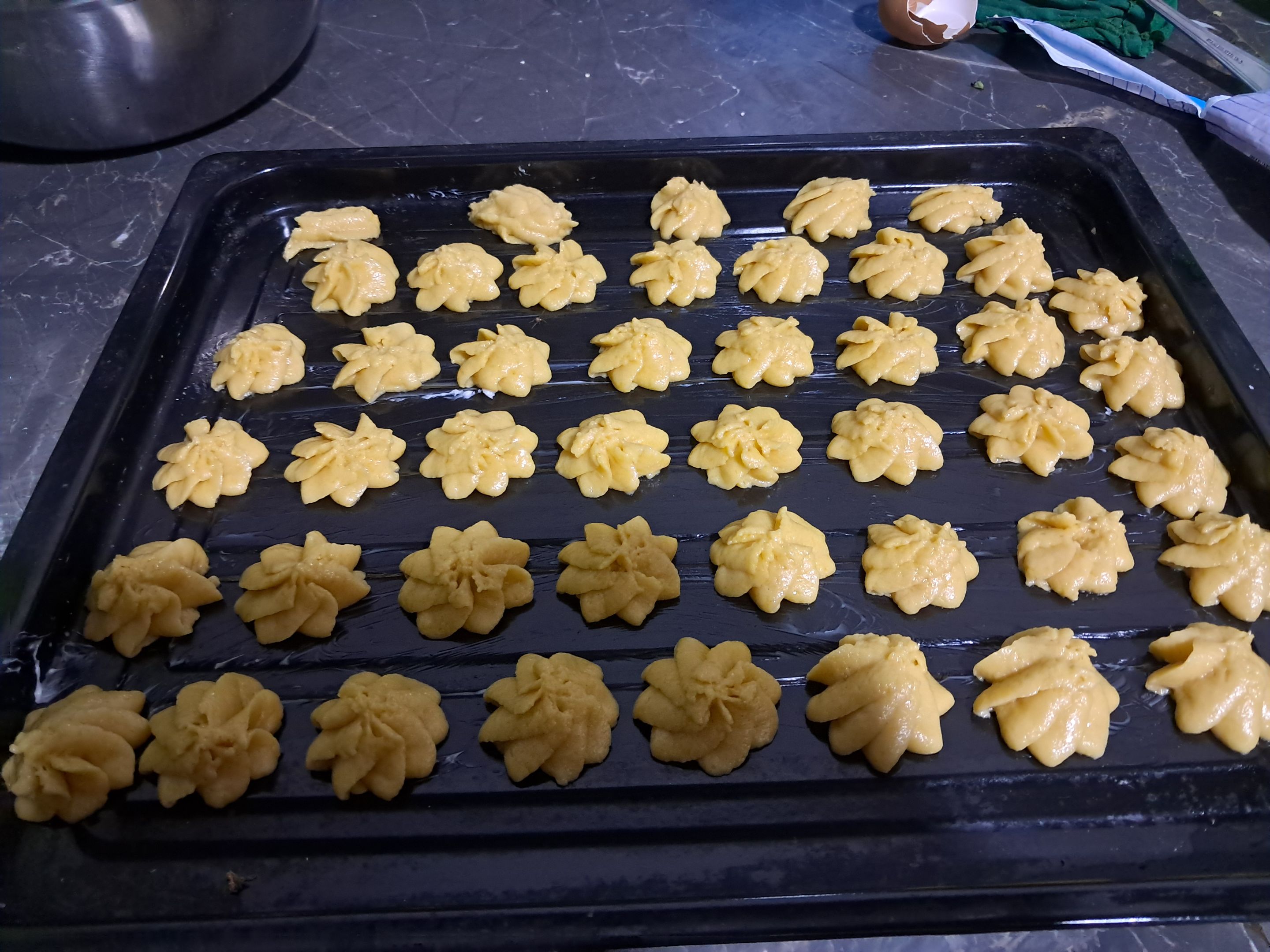 1000466446.jpg