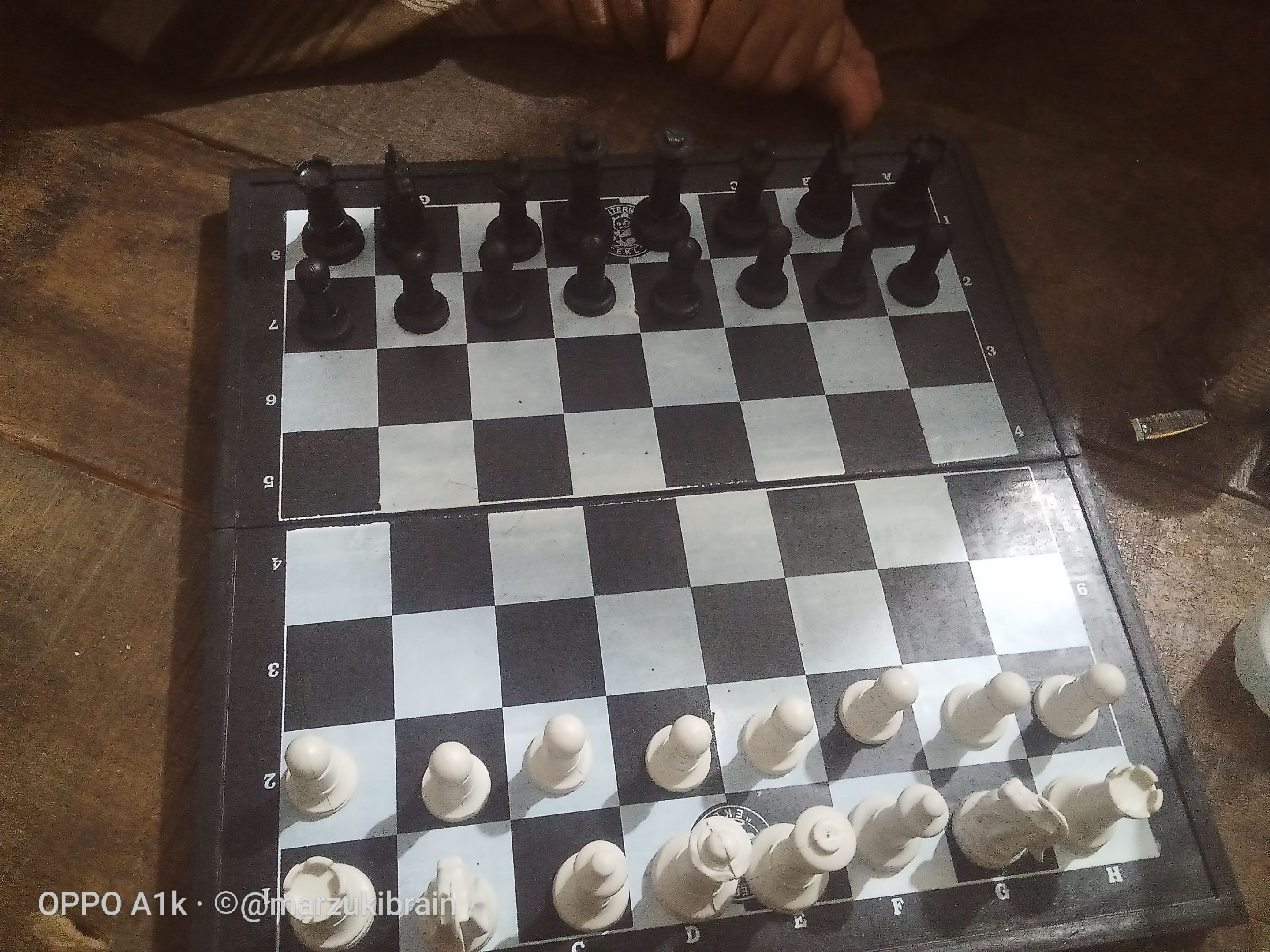 IMG20230328022607.jpg