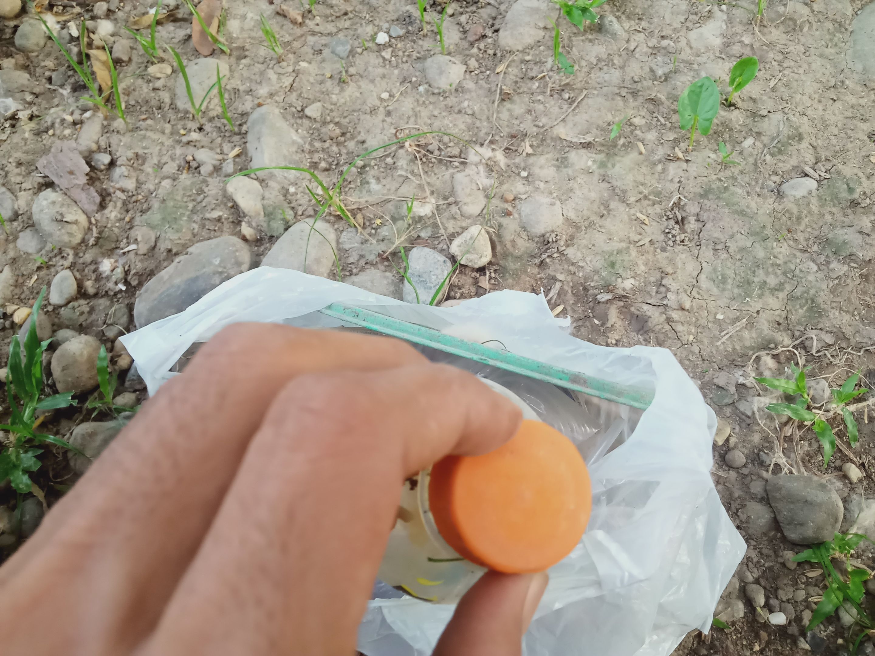 IMG20230429180906.jpg