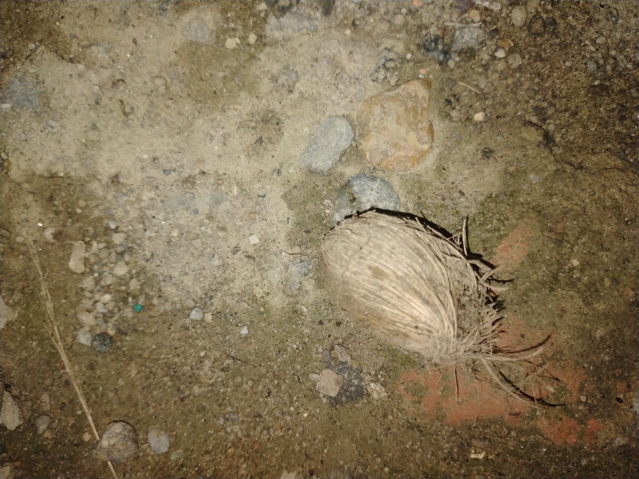 IMG-20230505-WA0044.jpg