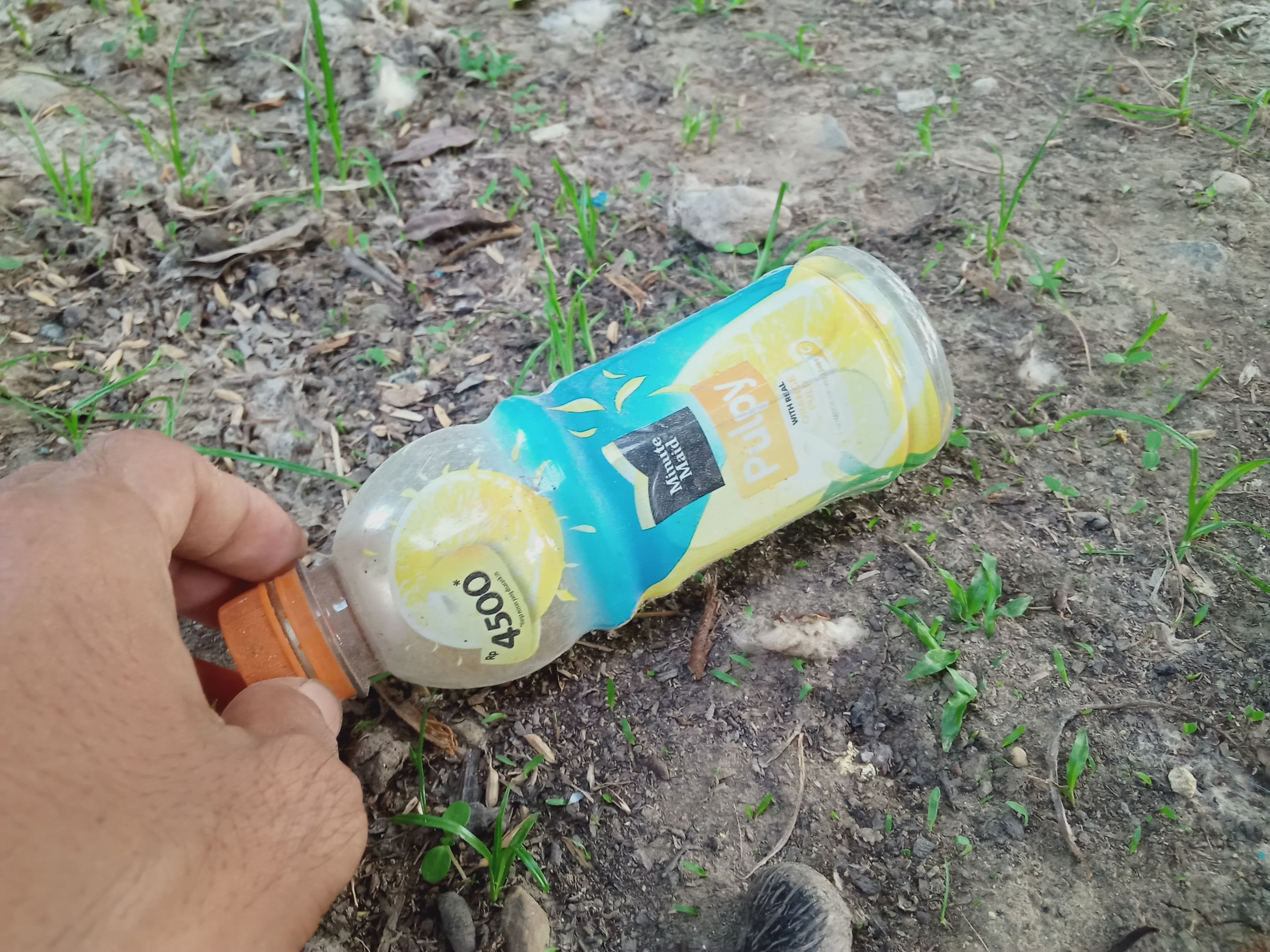 IMG20230429180857.jpg