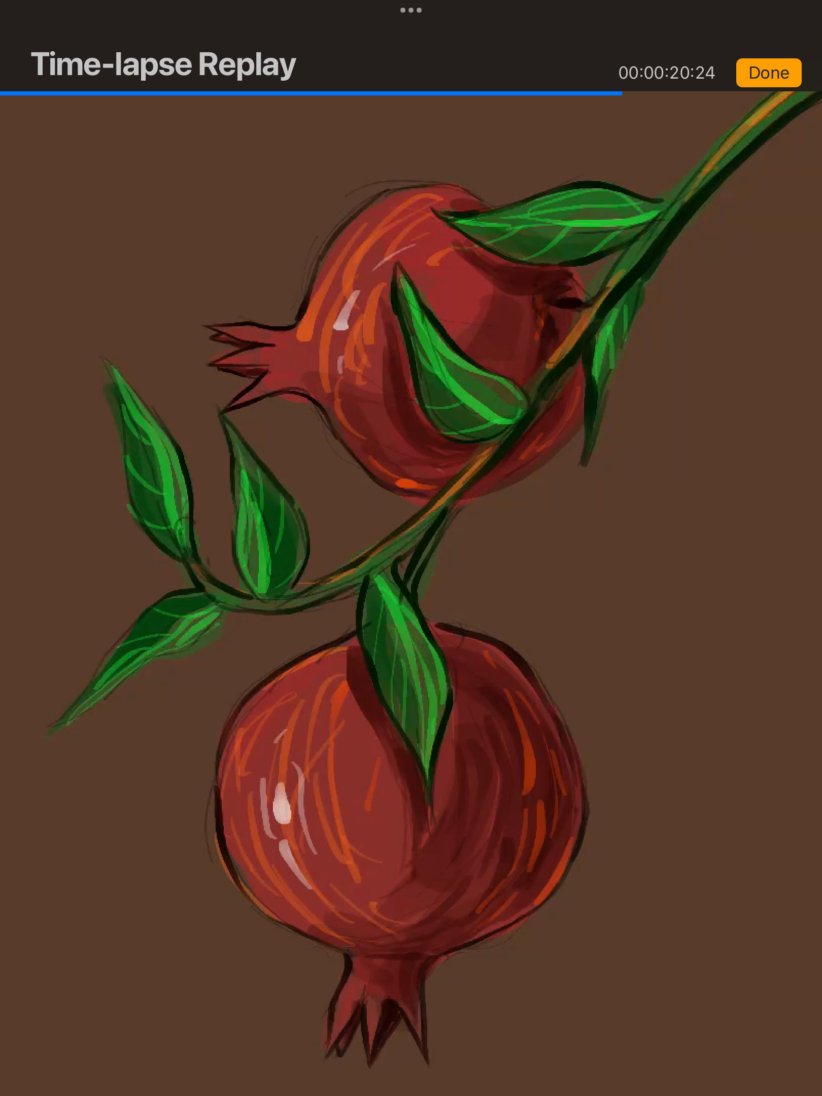 IMG_3393.png