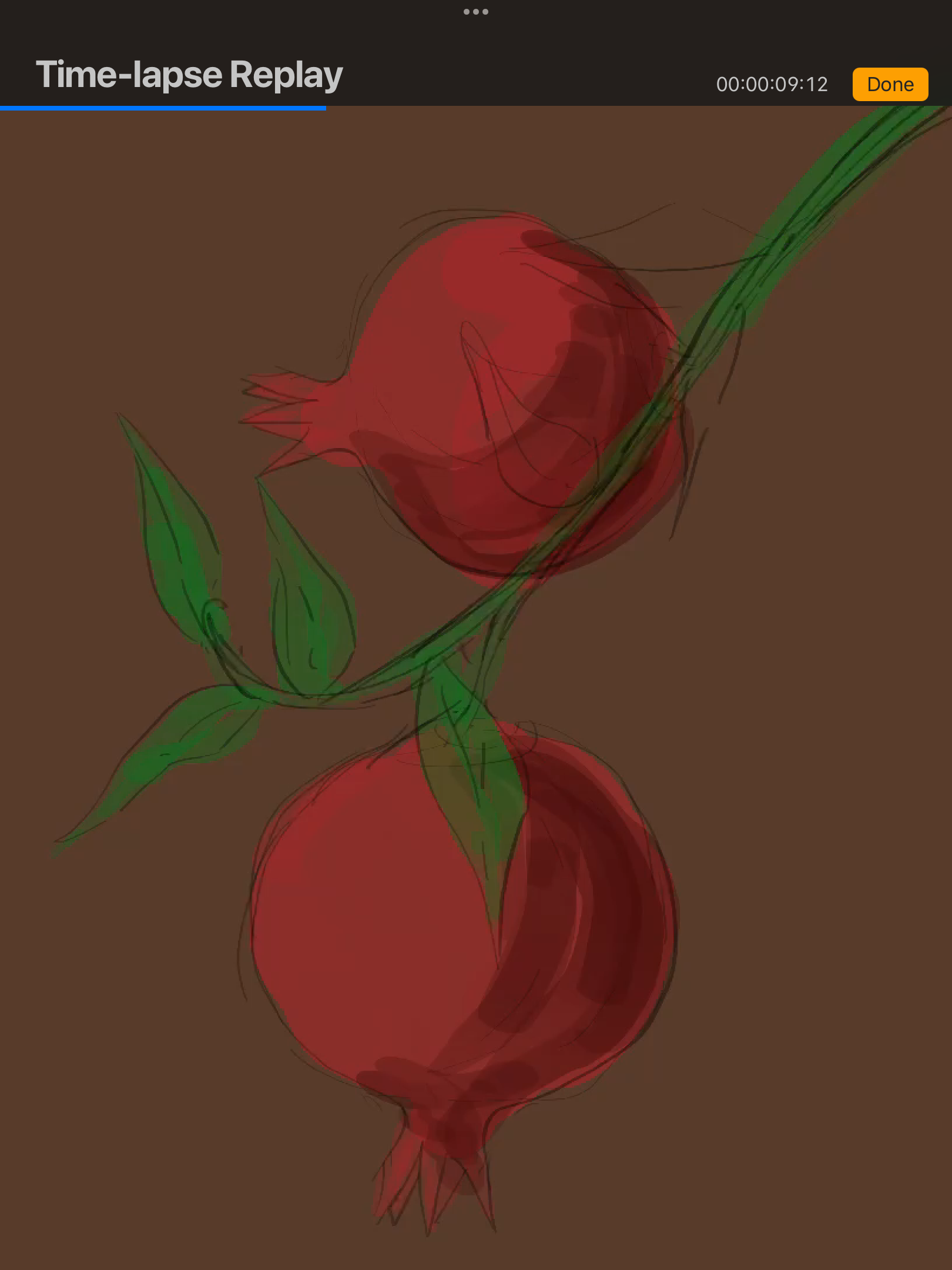 IMG_3390.png