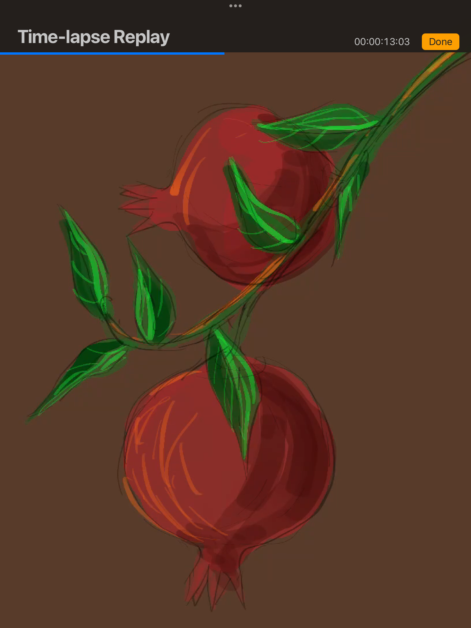 IMG_3391.png