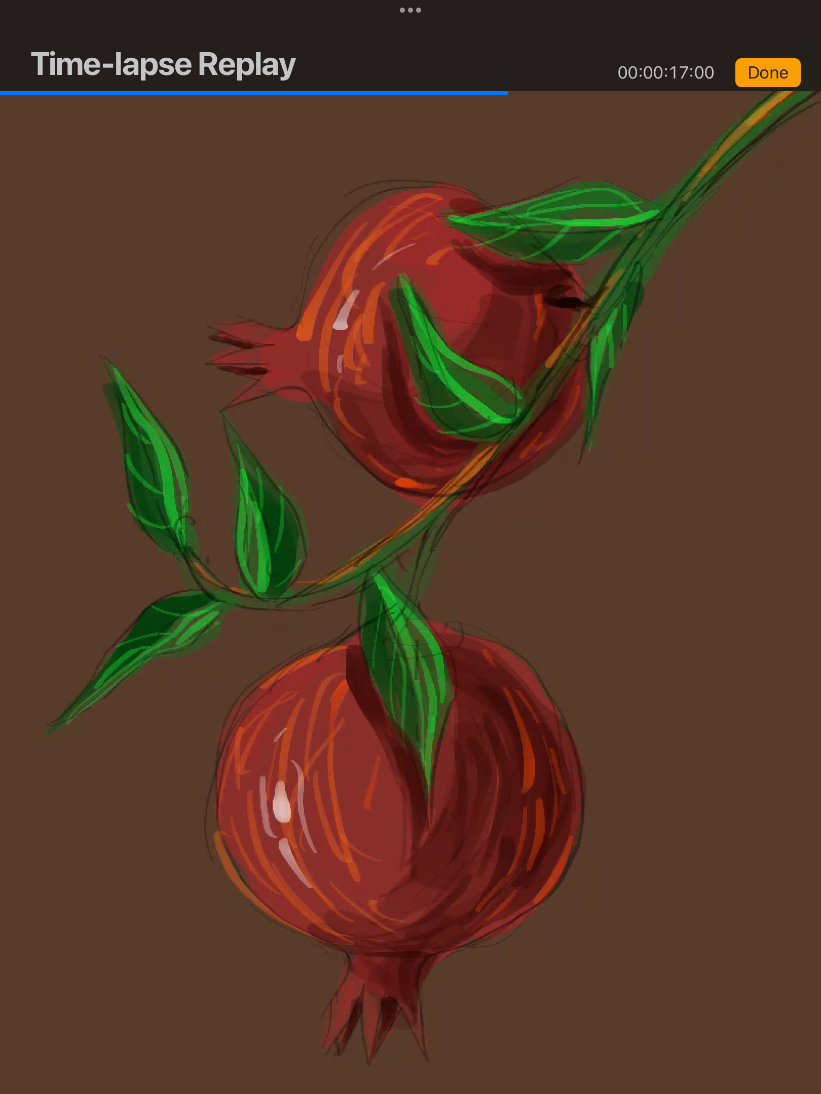 IMG_3392.png