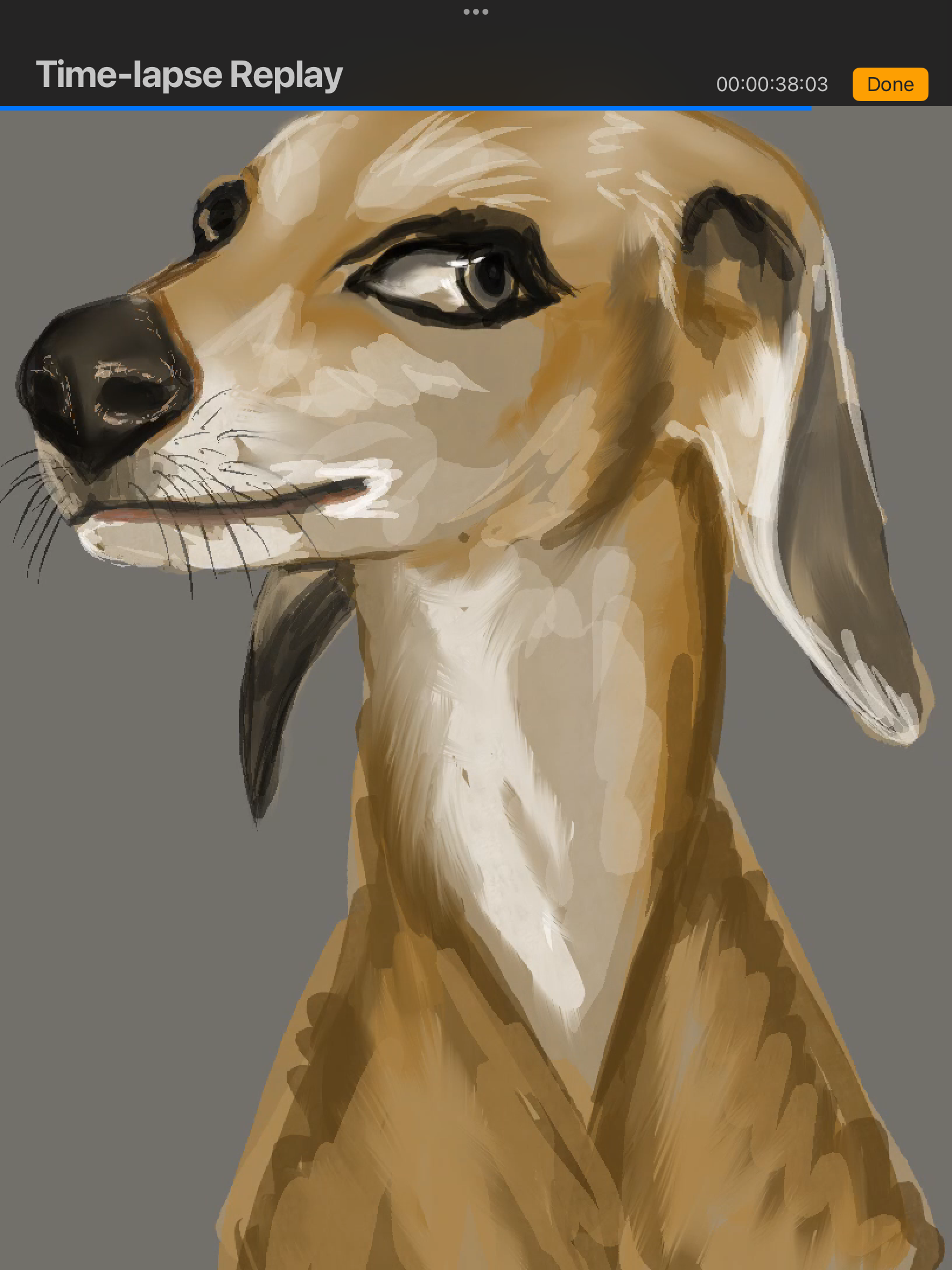 IMG_4011.png