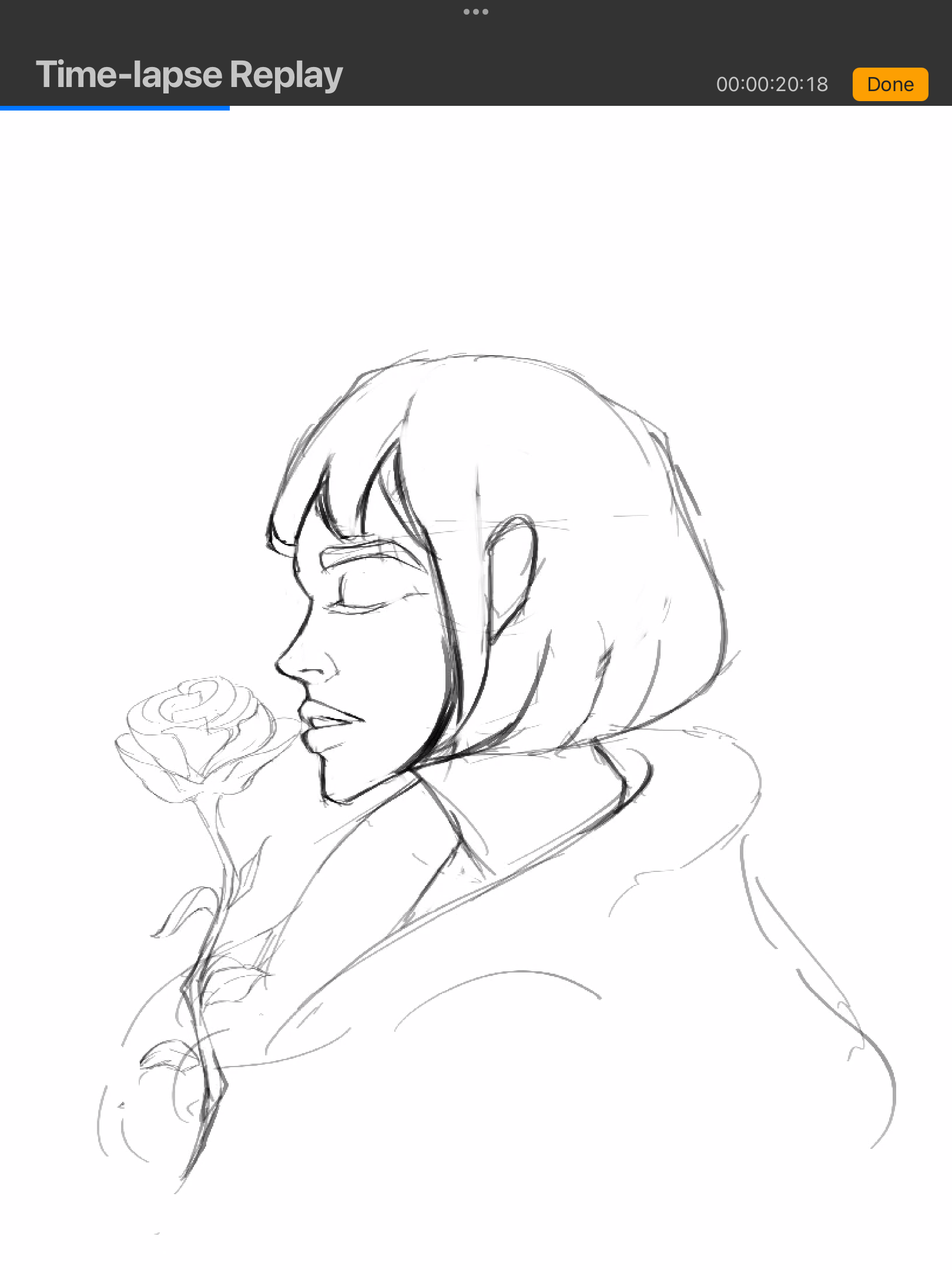 IMG_3500.png