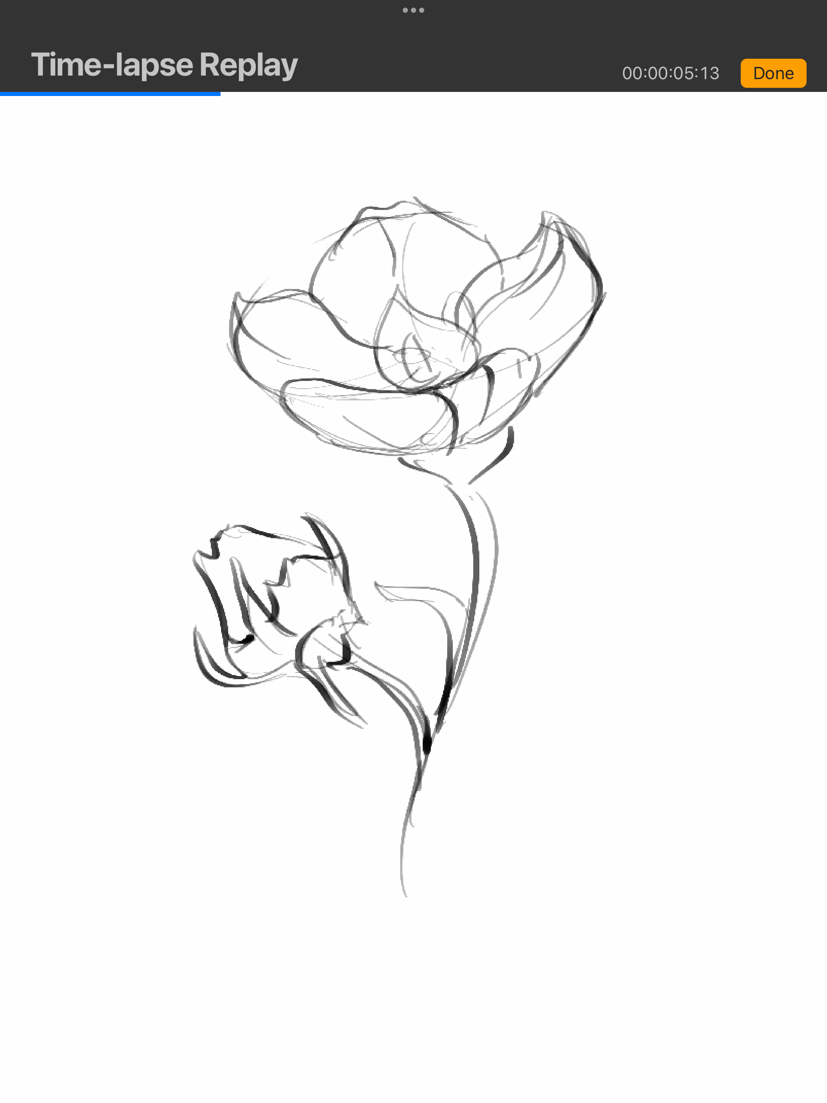 IMG_3384.png