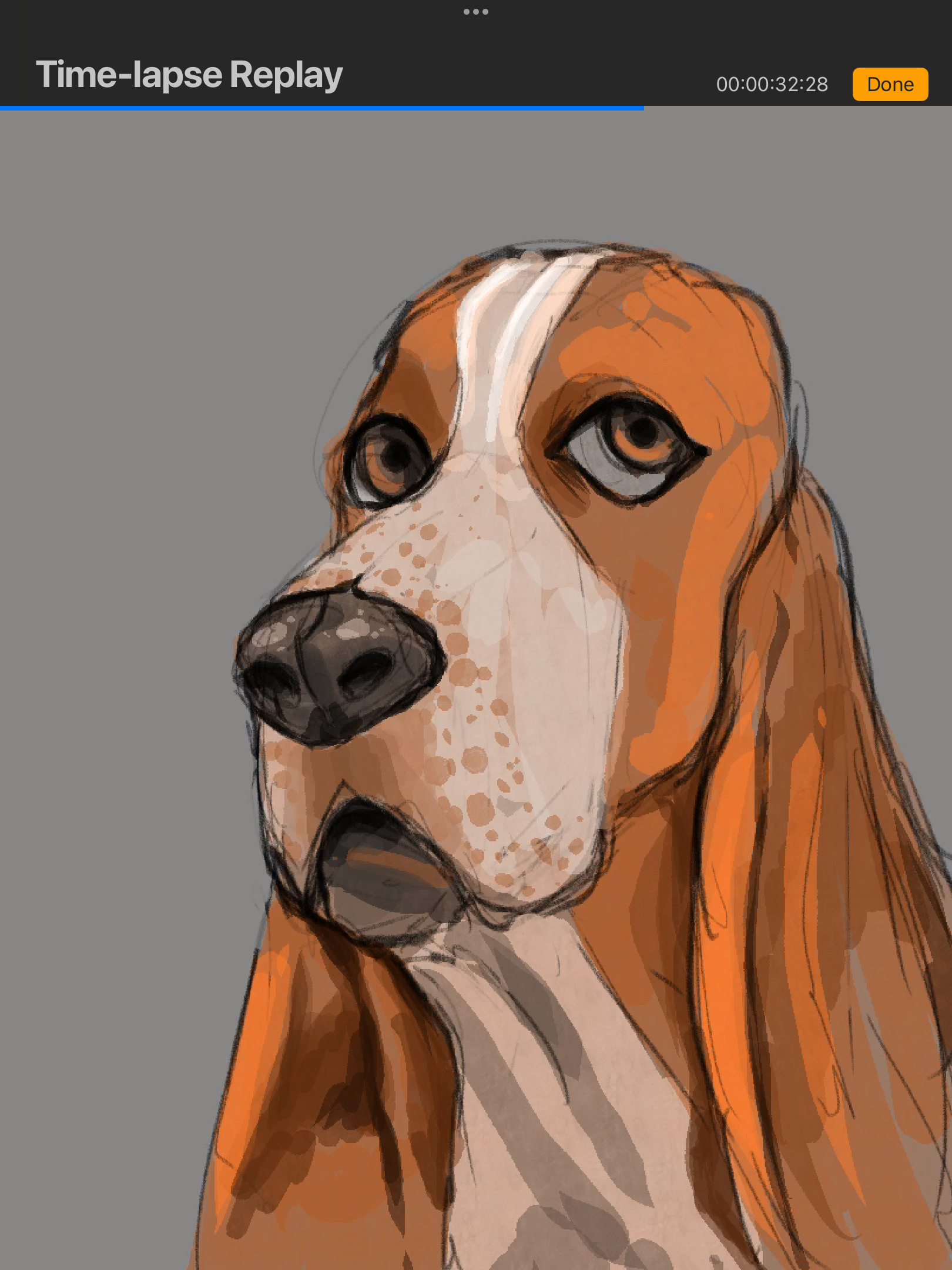 IMG_4002.png